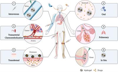 Hydrogel systems for targeted cancer therapy